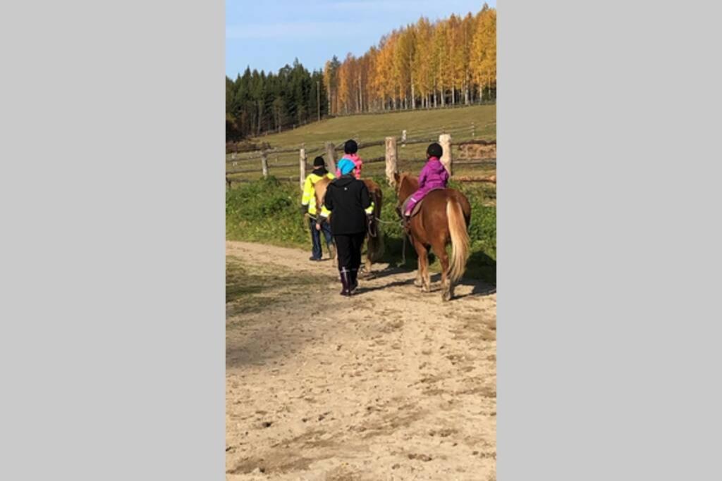 Kolin Pikkukolo - Saunallinen Studiohuoneisto Kolinkylä المظهر الخارجي الصورة